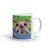 this mug is a dog - YOLOv2